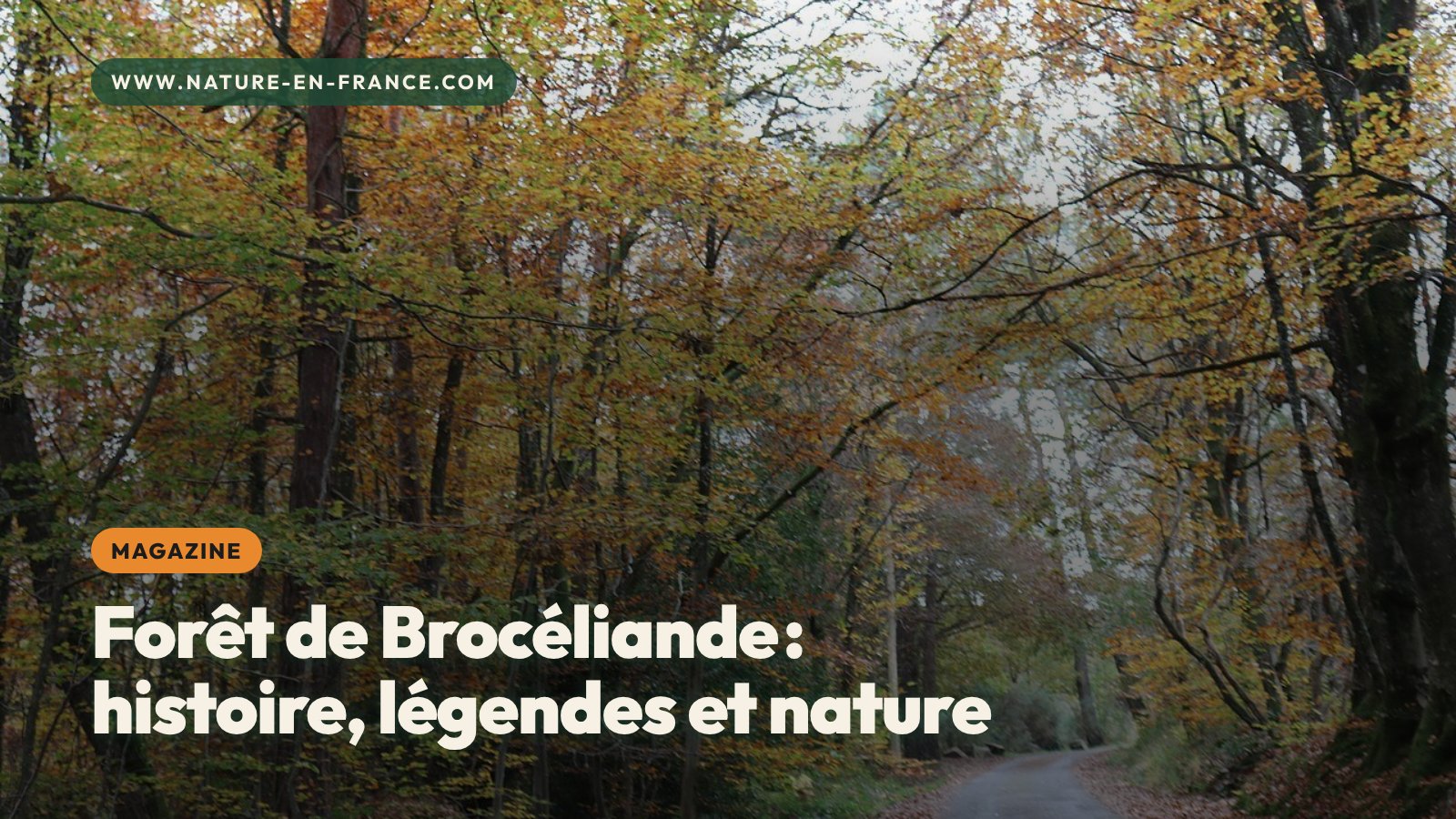 Forêt de Brocéliande : histoire, légendes et nature