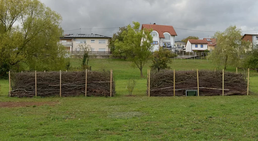 Deux haies sèches faites de branches empilées entre des piquets, dans un jardin de village au début d'octobre