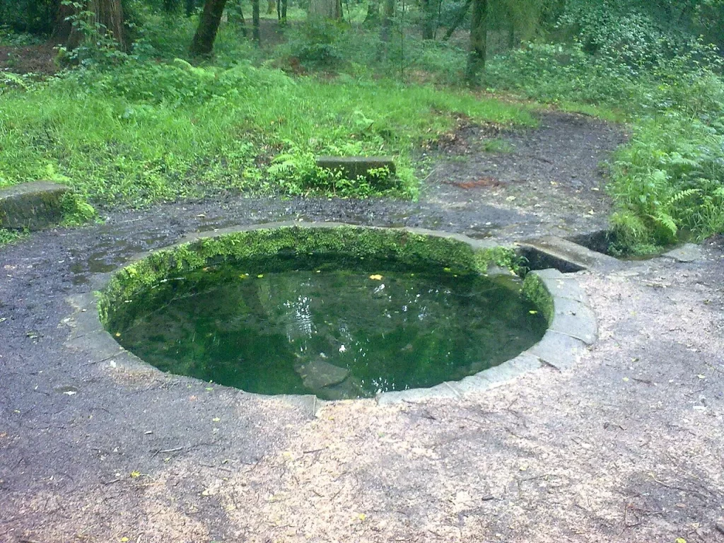 La font de Viljot, source maçonnée au pied des chênes de la forêt de Tronçais
