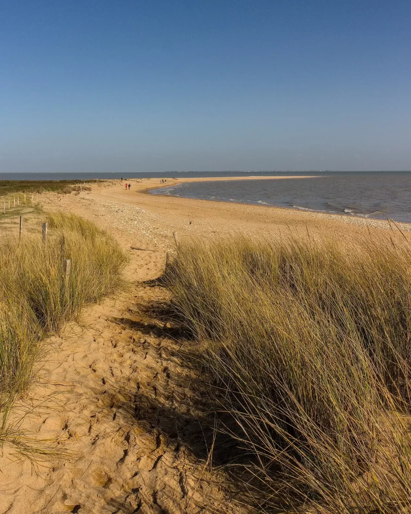 Sentier de sable balisé de piquets entre les oyats de la pointe de l'Aiguillon, avec la baie et quelques promeneurs au loin