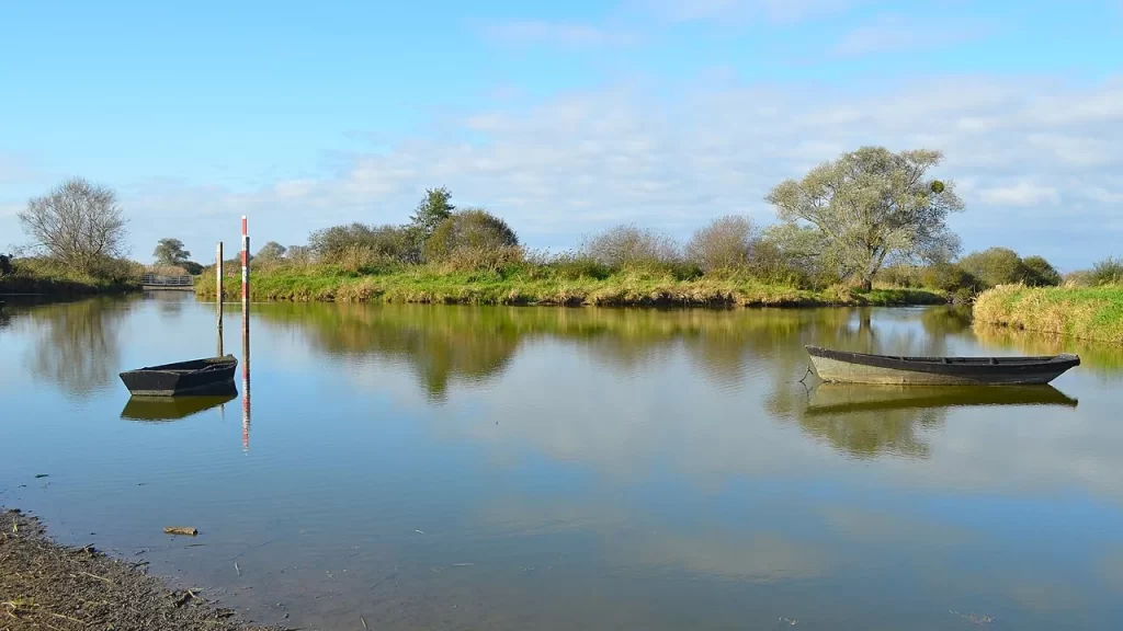 Deux barques de pêcheurs sur l'eau calme du lac de Grand-Lieu à Passay, berges herbeuses et saules en arrière-plan