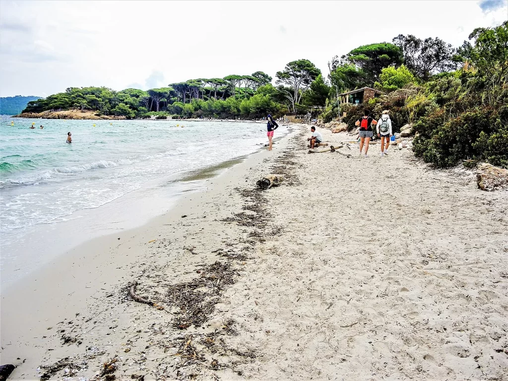 La plage d'Argent à Porquerolles, longue bande de sable clair bordée de pins parasols et de maquis, sous un ciel voilé