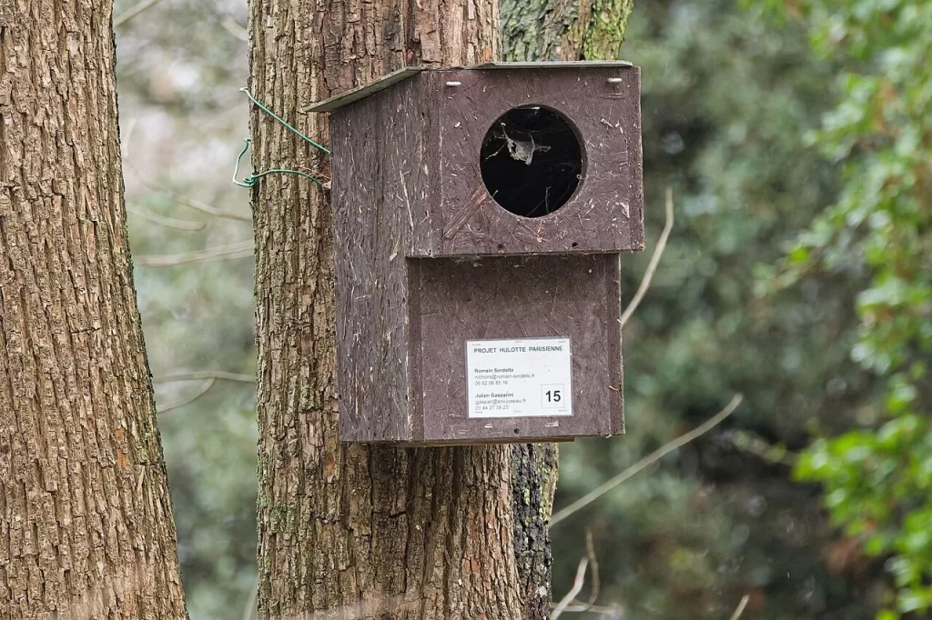 Grand nichoir en bois brun à chouette hulotte fixé à un tronc, au Jardin des Plantes de Paris, en hiver
