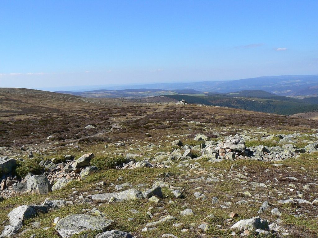 Landes et croupes granitiques du mont Lozère vues depuis le sommet de Finiels