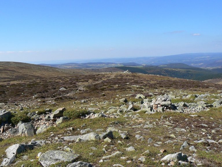 Parc national des Cévennes : que voir, où randonner, quelle faune observer